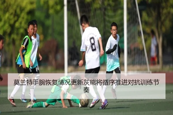 莫兰特手腕恢复情况更新灰熊将循序推进对抗训练节奏